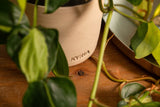 Stoneware Apricity Triple Wick Aromatherapy Candle